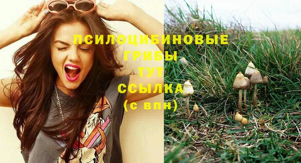 каннабис Алексеевка